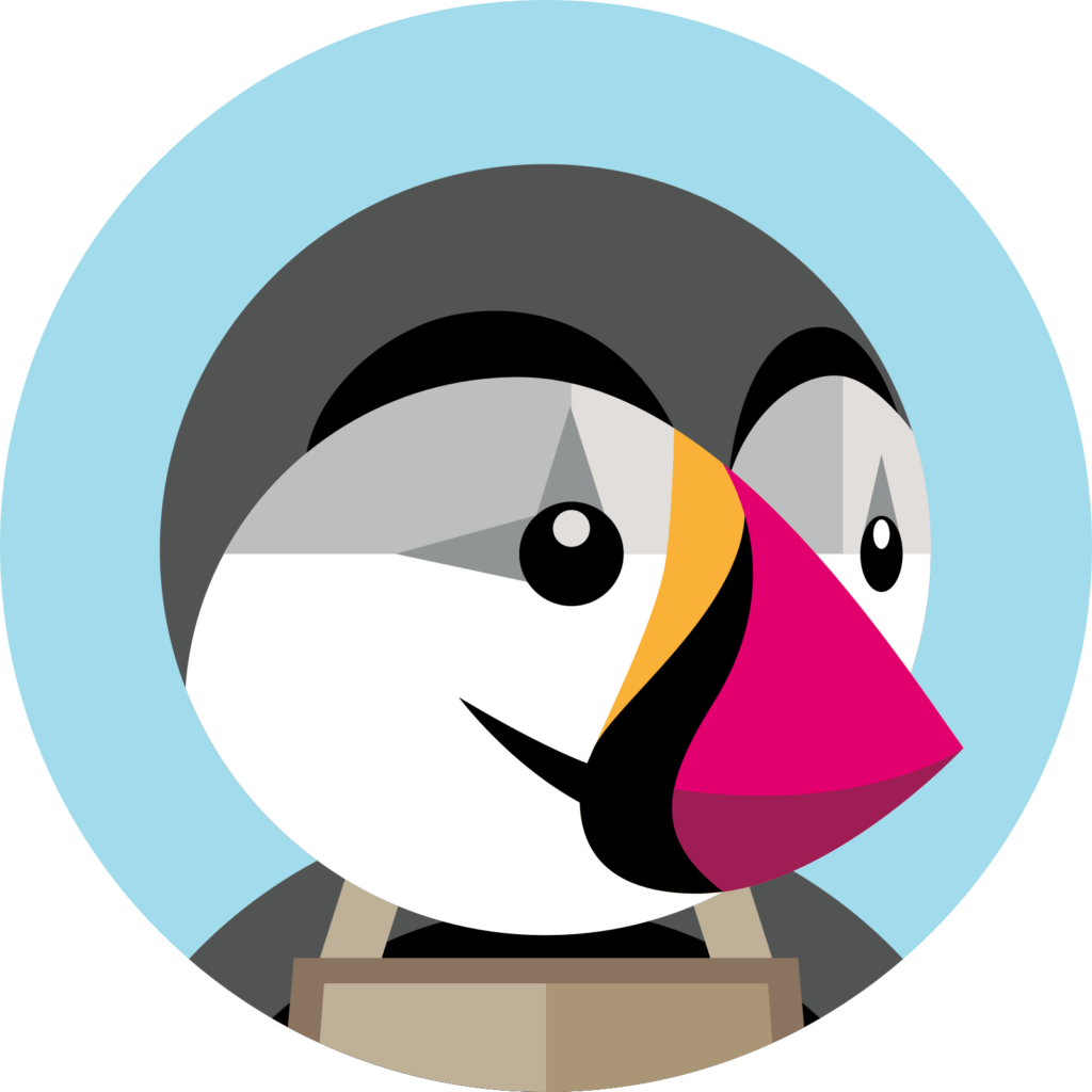 Icone Création de site prestashop