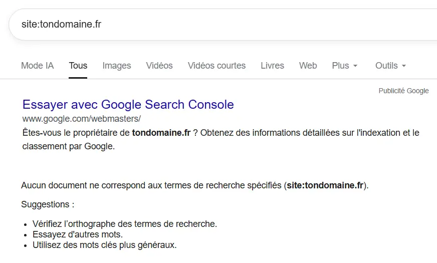 Résultat de la commande site: dans Google montrant qu'aucune page du site n'est indexée